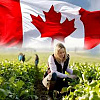 مهاجرت به کانادا از طریق خود اشتغالی