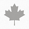سوالات درباب تبدیل ویزای توریستی کانادا به اقامت دائم