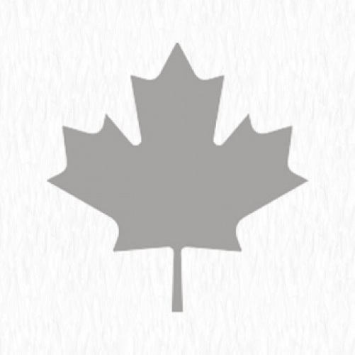 صدور پاسپورت کانادایی نوزاد متولد شده در کانادا